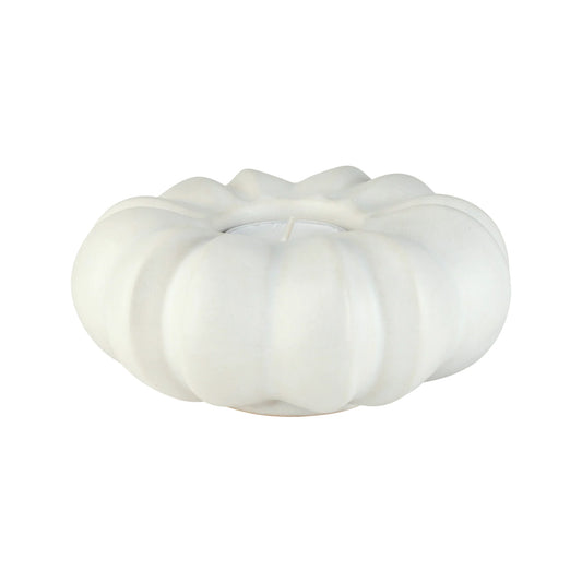 Fröhuslykta Stjärnanis