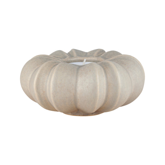 Fröhuslykta Stjärnanis