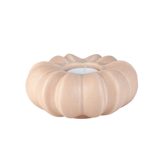 Fröhuslykta Stjärnanis