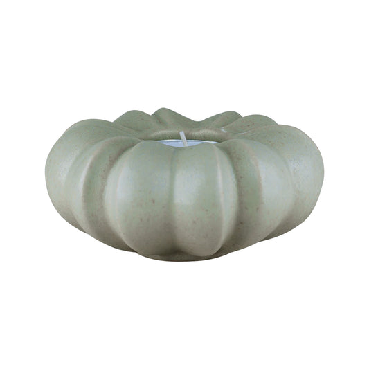 Fröhuslykta Stjärnanis