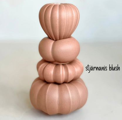 Fröhuslykta Stjärnanis